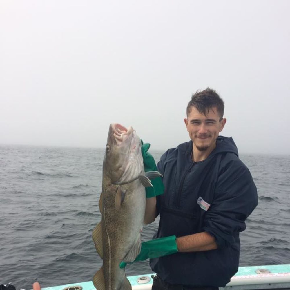 Meet your Posher, Bela